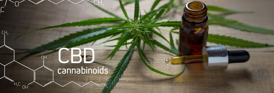 CBD certifié bio