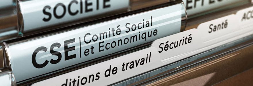 Comité social et économique