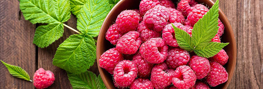 Manger des cétones de framboise